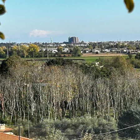 Nuovo Colline San Benedetto