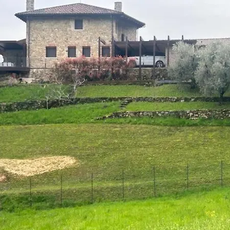 Nuovo Colline San Benedetto Bed and Breakfast